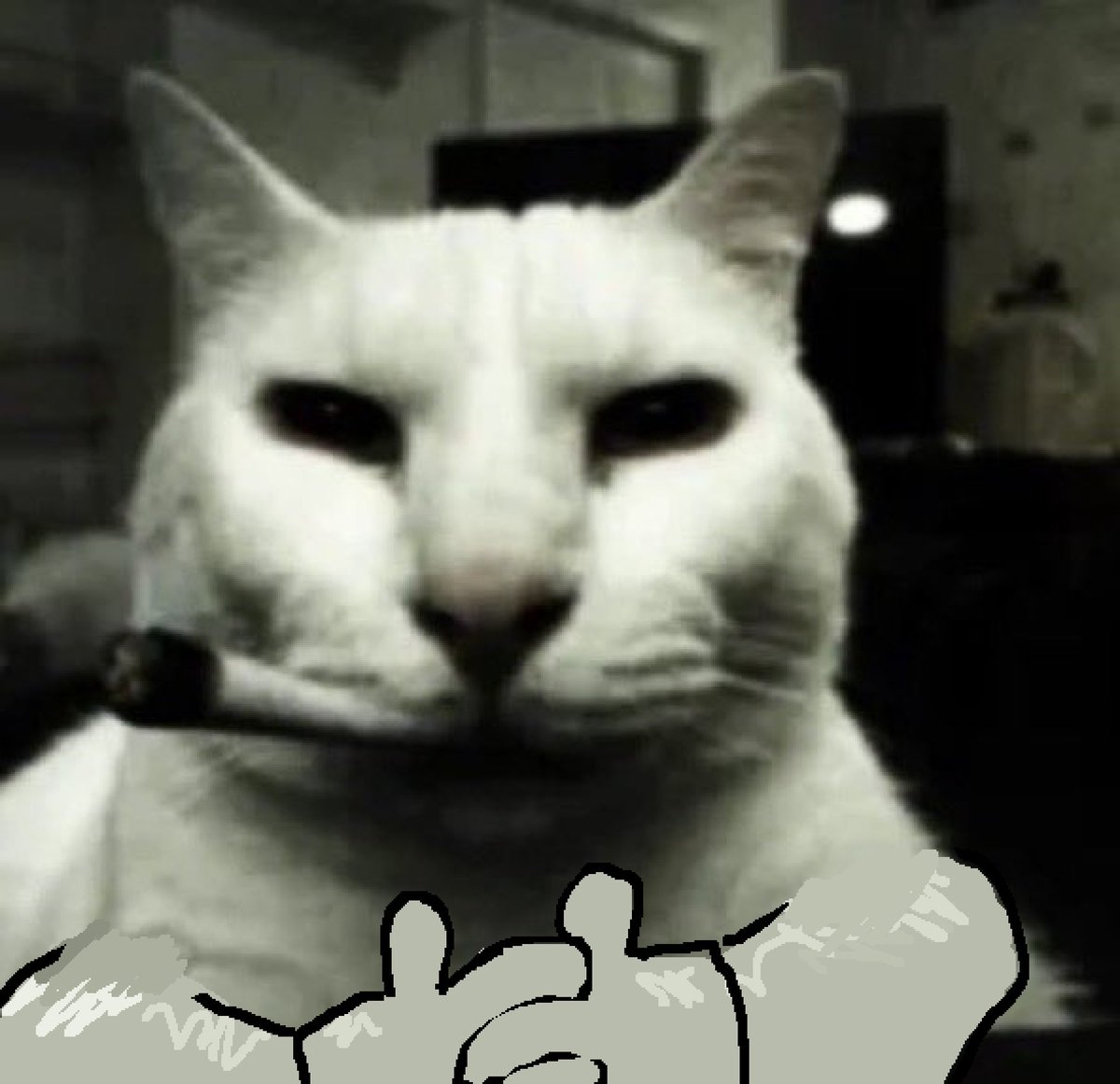 MichRoboBonar tweet media