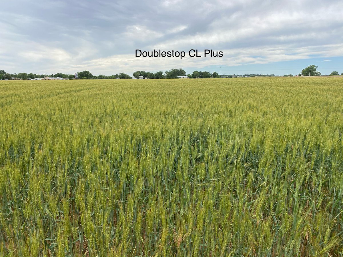 Jeff Wright tweet media