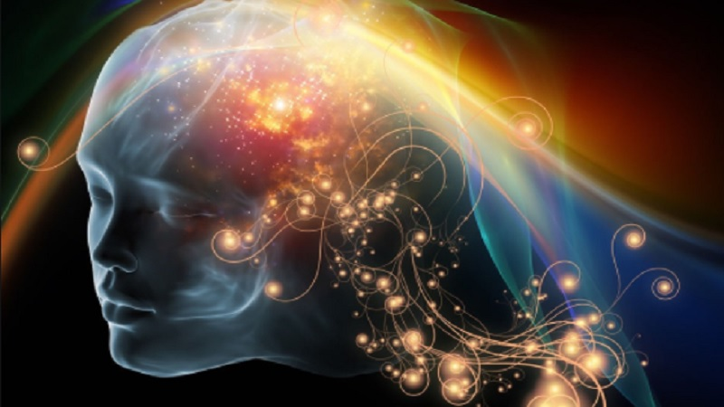 2025Neuro's tweet photo. Glymphatic flow reduced in Huntington disease
Read more at: https://t.co/mlwYXwv0OC
To gather more information about Huntington disease
Join us at NEURO Conclave 2025 via: https://t.co/CjfkTHfzDm
#Huntingtondisease #Brain https://t.co/vx4h0OYGp2