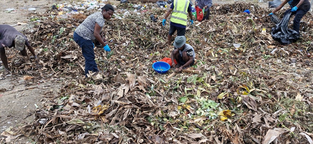 Transforming #waste into a resource: Empowering
#PapuaNewGuinea 🇵🇬 communities with composting skills

Read more 🔗tinyurl.com/ycey2xvx

#CleanerPacific