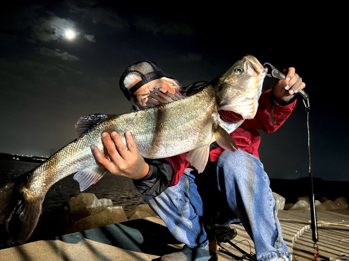 昨晩今年初のランカー出ました
明暗をロリベでデッドスローで流してたらドカン🔥痺れたわ〜