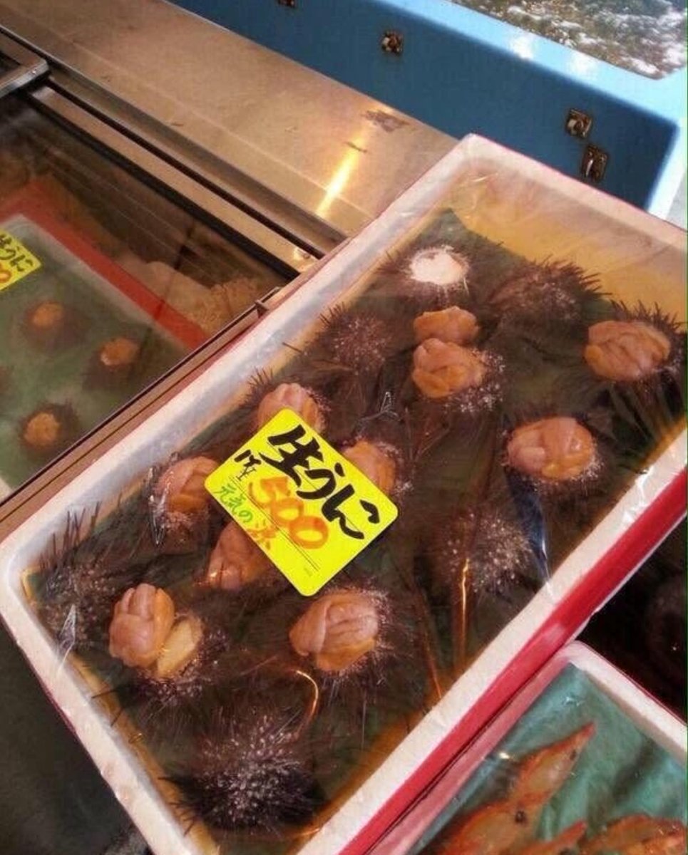生う……ええっ！？