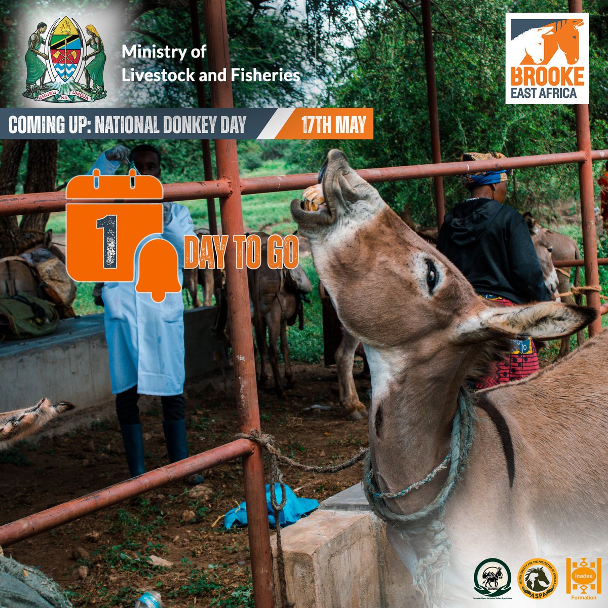 Countdown Alert!

Only HOURS TO GO until National Donkey Day!

These incredible animals deserve more than just a day — they deserve our respect, care, and protection every day.

Let’s raise our voices to keep them safe and celebrated!

#DonkeysBetterAlive  #NyamaSafeKwaPlate