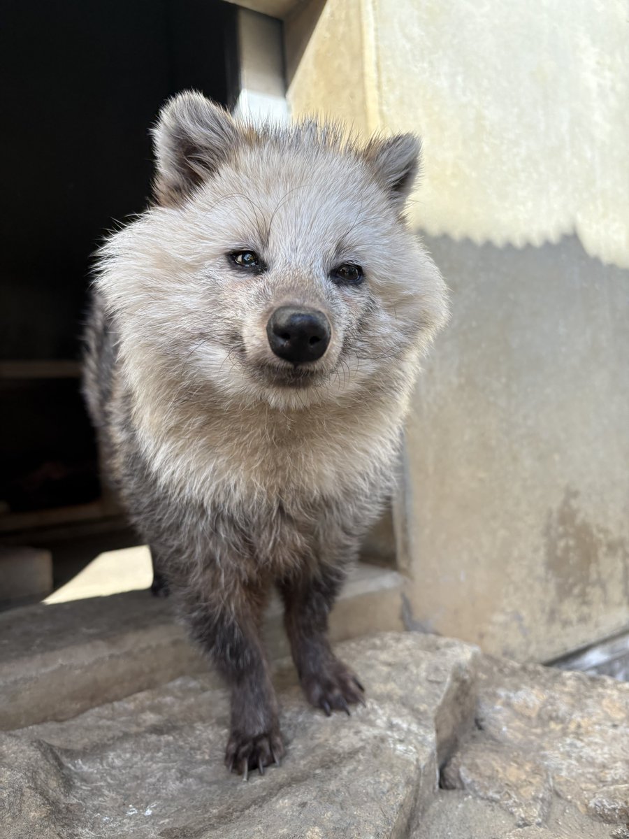 市川市動植物園（公式） tweet media