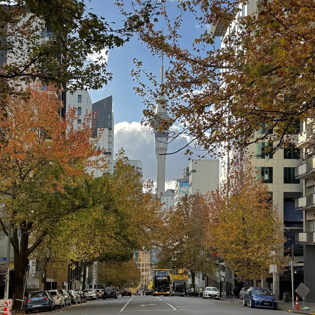 i love autumn