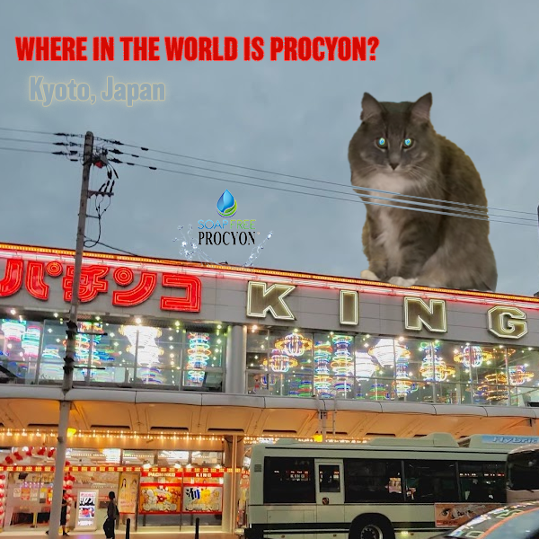 Where in the world is #Procyon 
May, 2025 ft. Donovan
Kyoto, Japan 
#PetSafe #GreenCleaning #International #Superstar