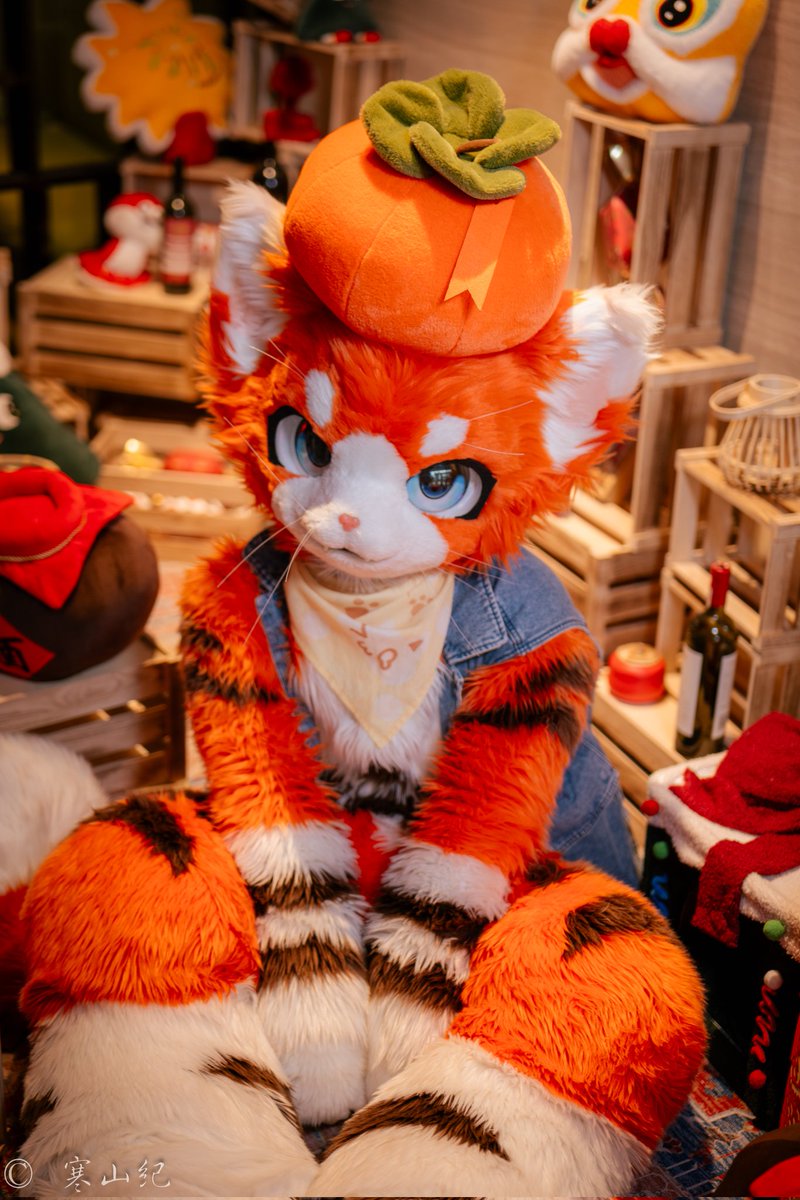 #FursuitFriday
其实猫猫不是橘猫，是柿子猫。祝大家柿柿如意喵！