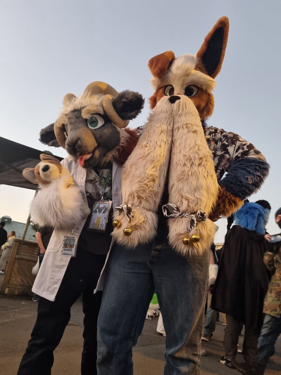 Stanced up for #FursuitFriday with <a href="/MutaSheep/">MutaSheep</a>

🪡 : <a href="/TheGoldenMaw/">Golden Maw</a> 
📸 :@/Hakuface on telegram