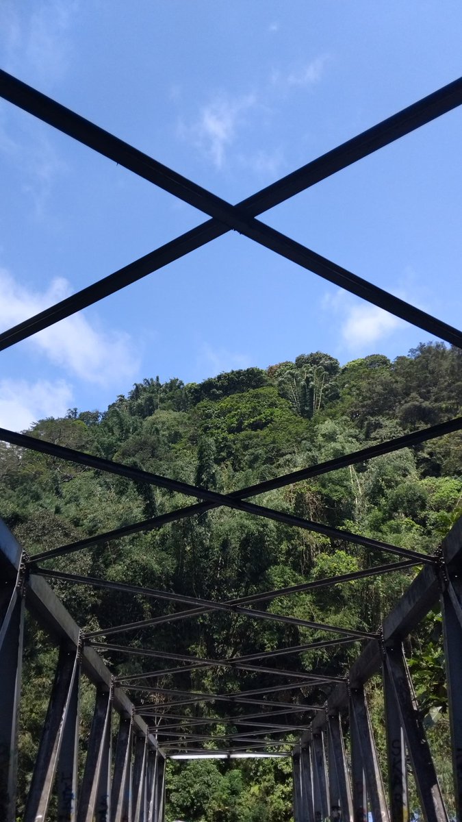 nfrdsa's tweet image. Ngarit🌳