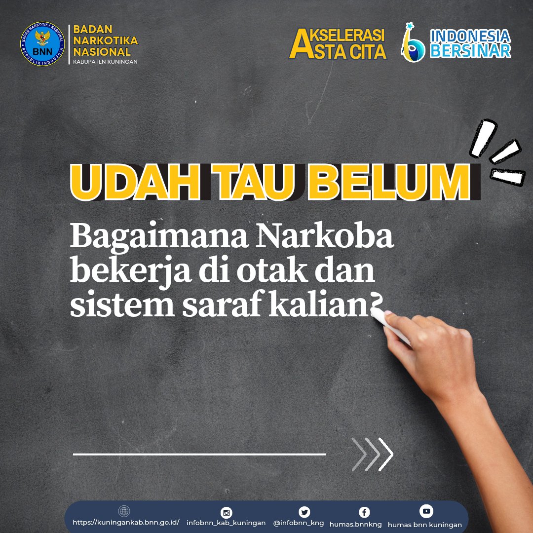 infobnn_kng's tweet photo. Bahaya narkoba memang memberikan banyak dampak negatif dari mulai kerusakan kesehatan fisik dan mental salahsatunya kerusakan fungsi otak dan sistem saraf.
#indonesiabersinar
#indonesiadrugfree
#Jabarbersinar
#Kuninganbersinar
#Bnnkkuninganbersinar
#humasbnnkkuningan https://t.co/K10uHuXMH6