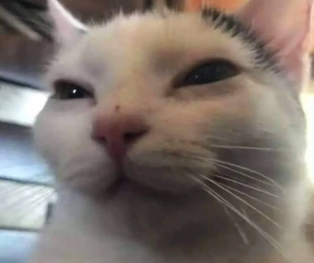 autistic_bitch0's tweet photo. - Pronto se vienen cositas nuevas

Paciencia plis UvU https://t.co/iWgALAKjum