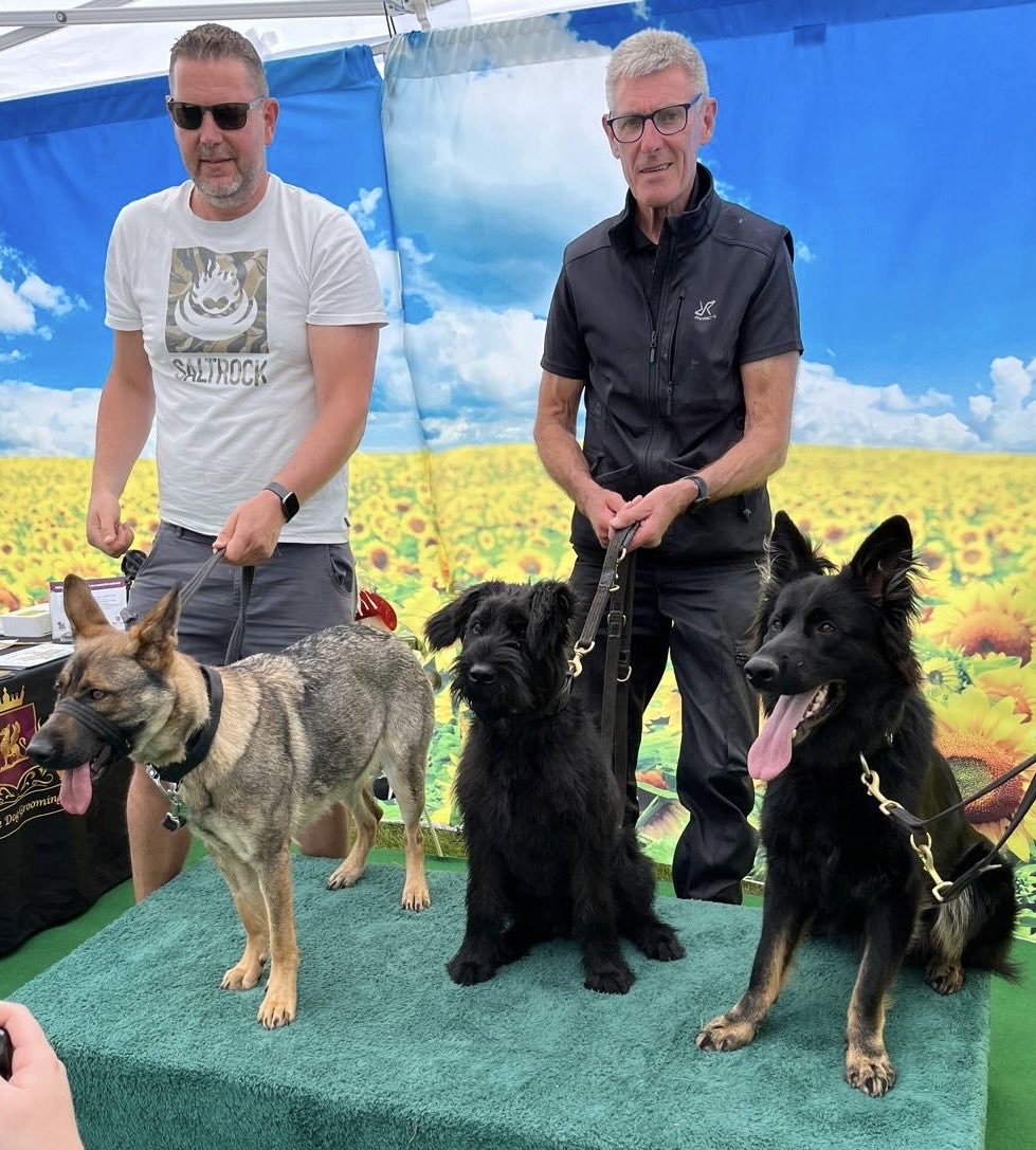 DC_Police Dogs ( Puppy Development Program) tweet media