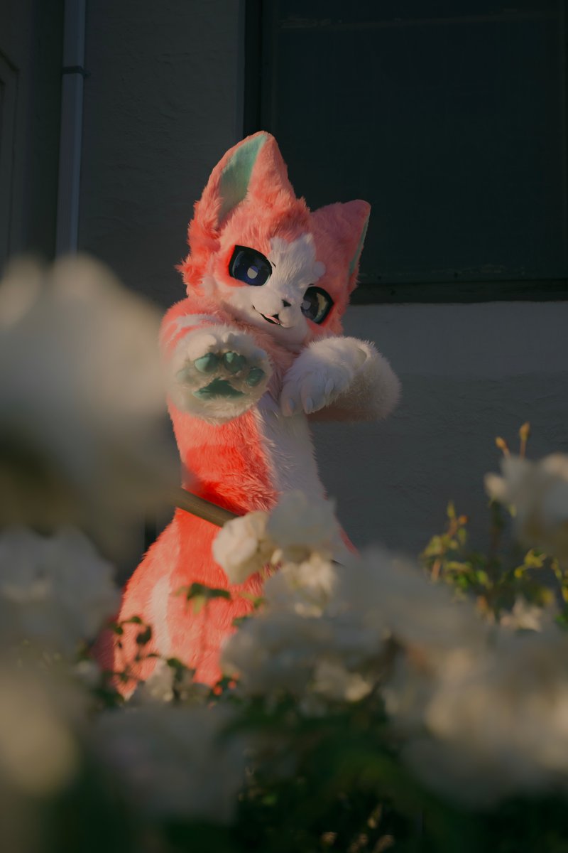 tt踢屁屁 tweet media