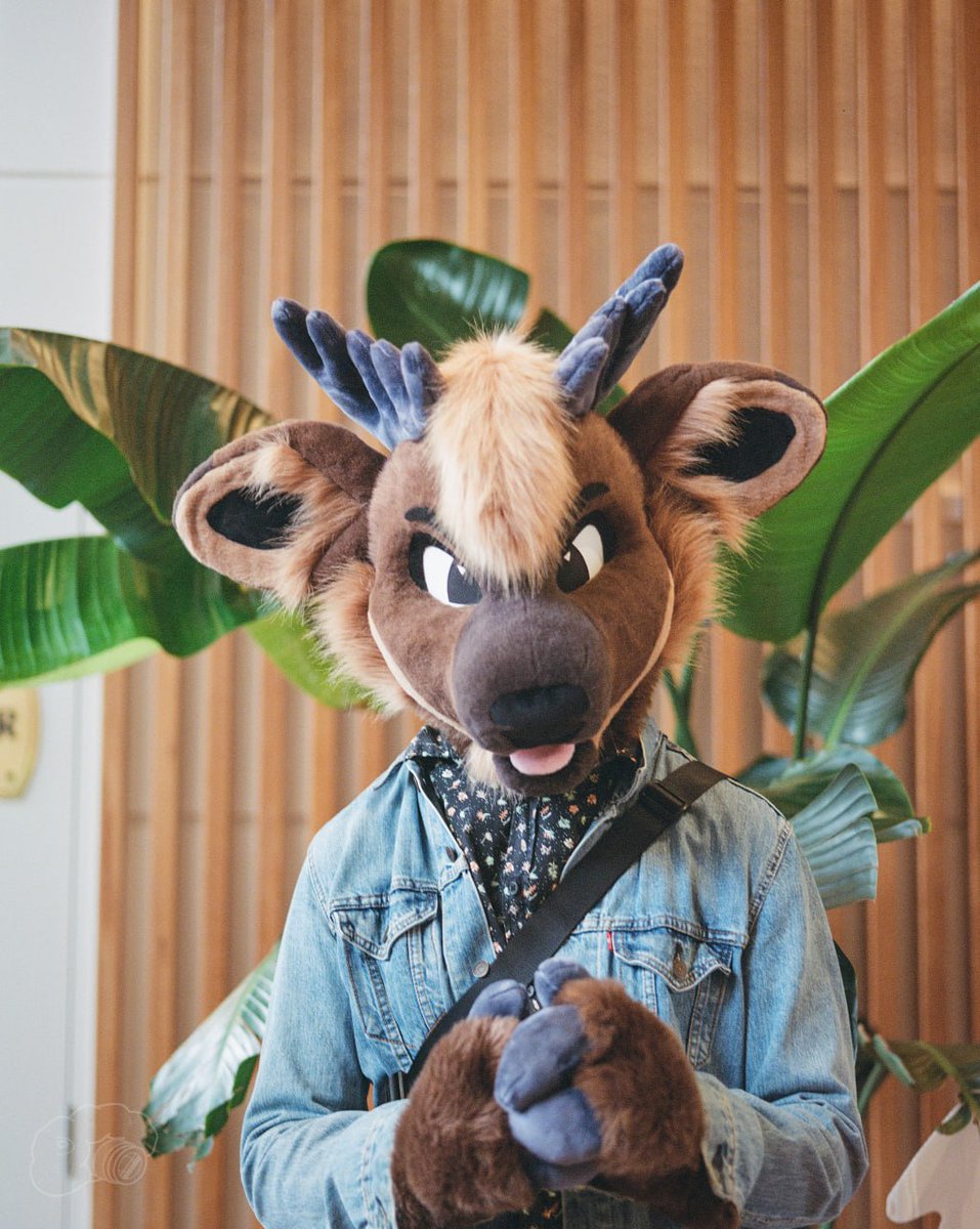 briar bramble tweet media