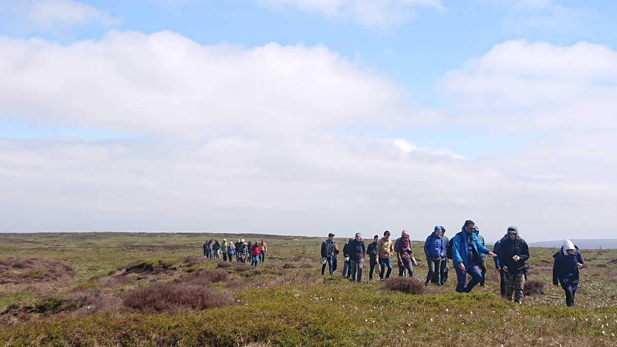 WaterLANDS_EU's tweet image. Some photos from the WaterLANDS GA this week in Leeds, northern England.
A week of connection, collaboration and inspiration for holistic wetland restoration.
Thanks to @UniLeeds and @YorkshireiCASP for hosting us! ⭐️