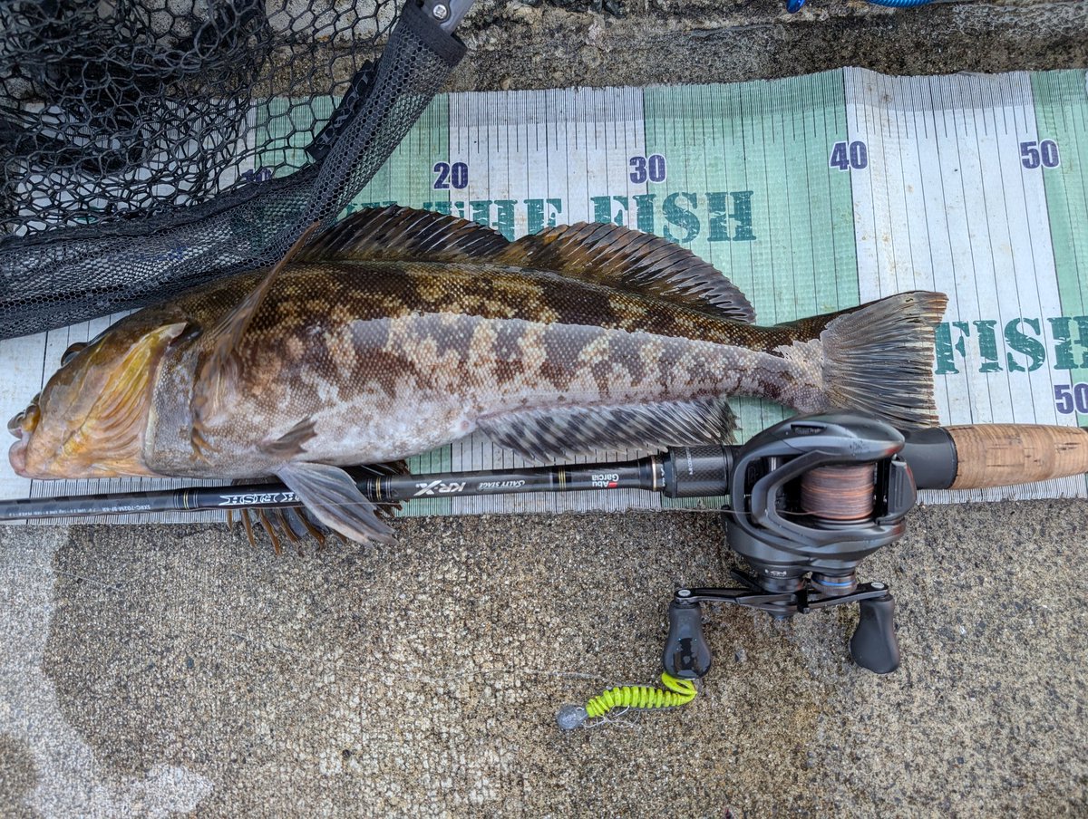 JKANNO2's tweet photo. 今日の夕方のネウ活🎣
堤防際を巻いてきたらガッツンコでした😁
釣れてくれてTHANKS‼️🥳
#KR-X #SLXbfs #アマード
#スーパートルネード
#熟成リングマックス https://t.co/Domj8Tqsjp