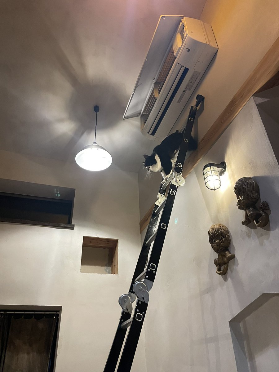 らいおん丸 (@lionmaru_046) / Posts / X