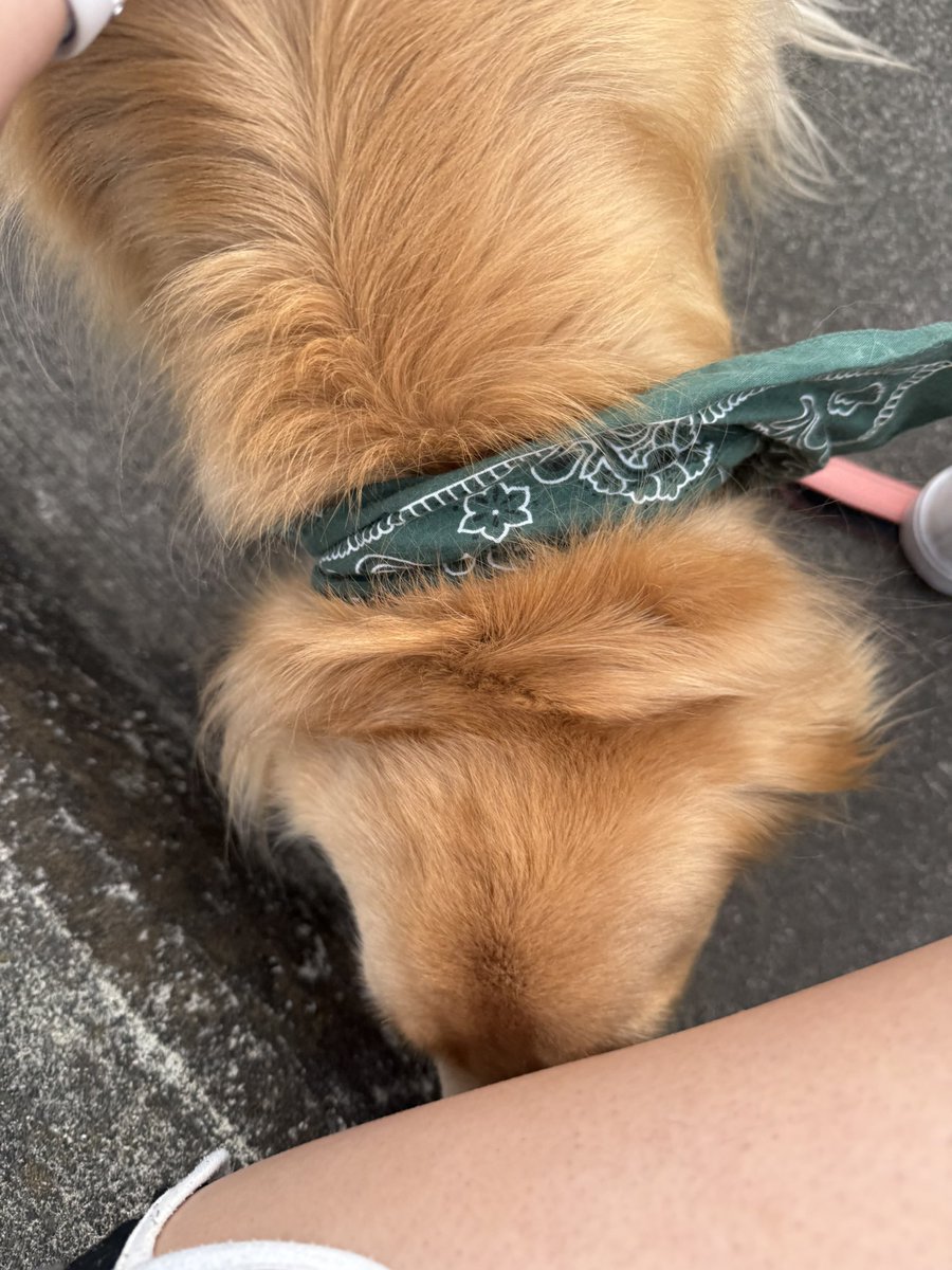 스마일 tweet media