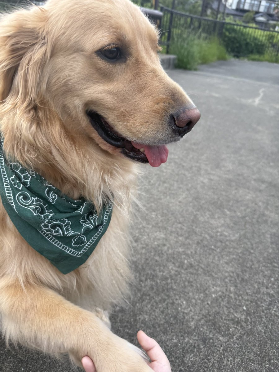 스마일 tweet media