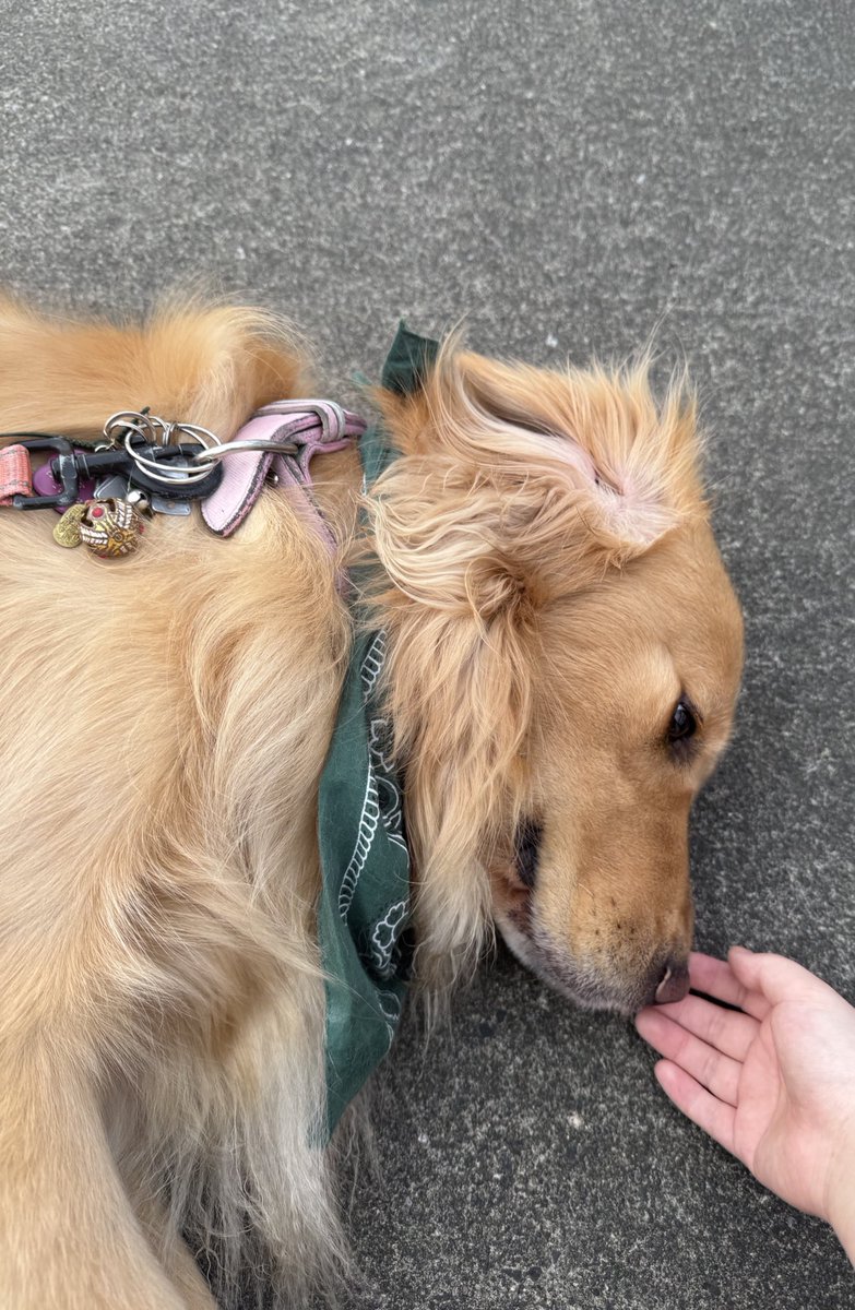 스마일 tweet media