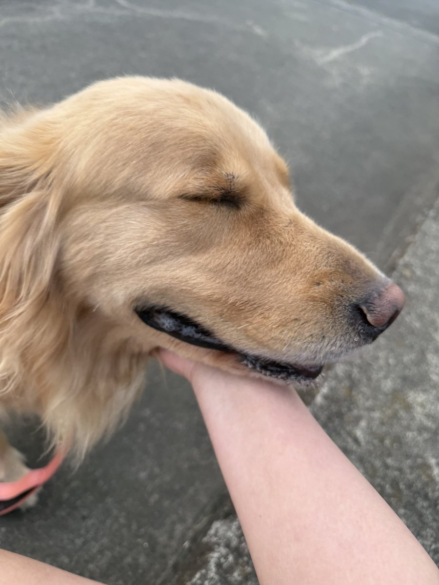 스마일 tweet media