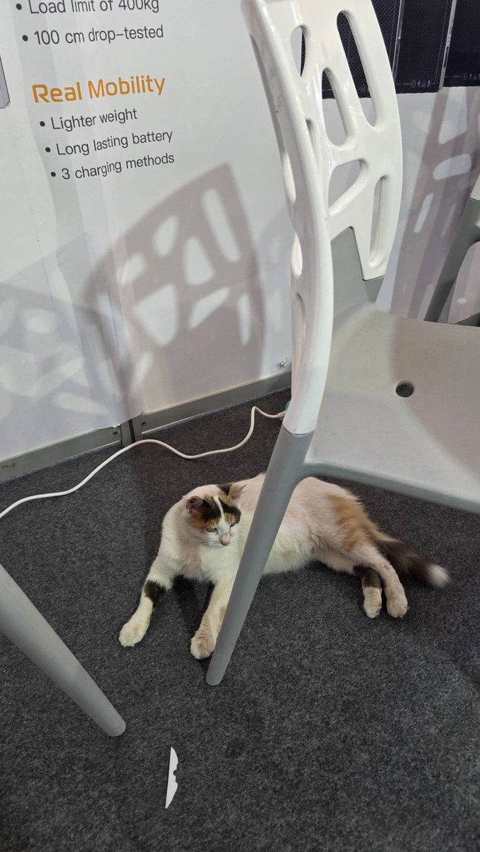 imaging_new's tweet photo. ✨Day 2 at Morocco Medical Expo 2025! 
A heartfelt thank you to everyone who visited our booth on the first day.
We’re even more thrilled to officially debut our brand new AI-based Portable CXR Diagnosis Solution.
(A very special furry visitor at our booth yesterday - a cat! 🐱) https://t.co/zL6Dmhpni6