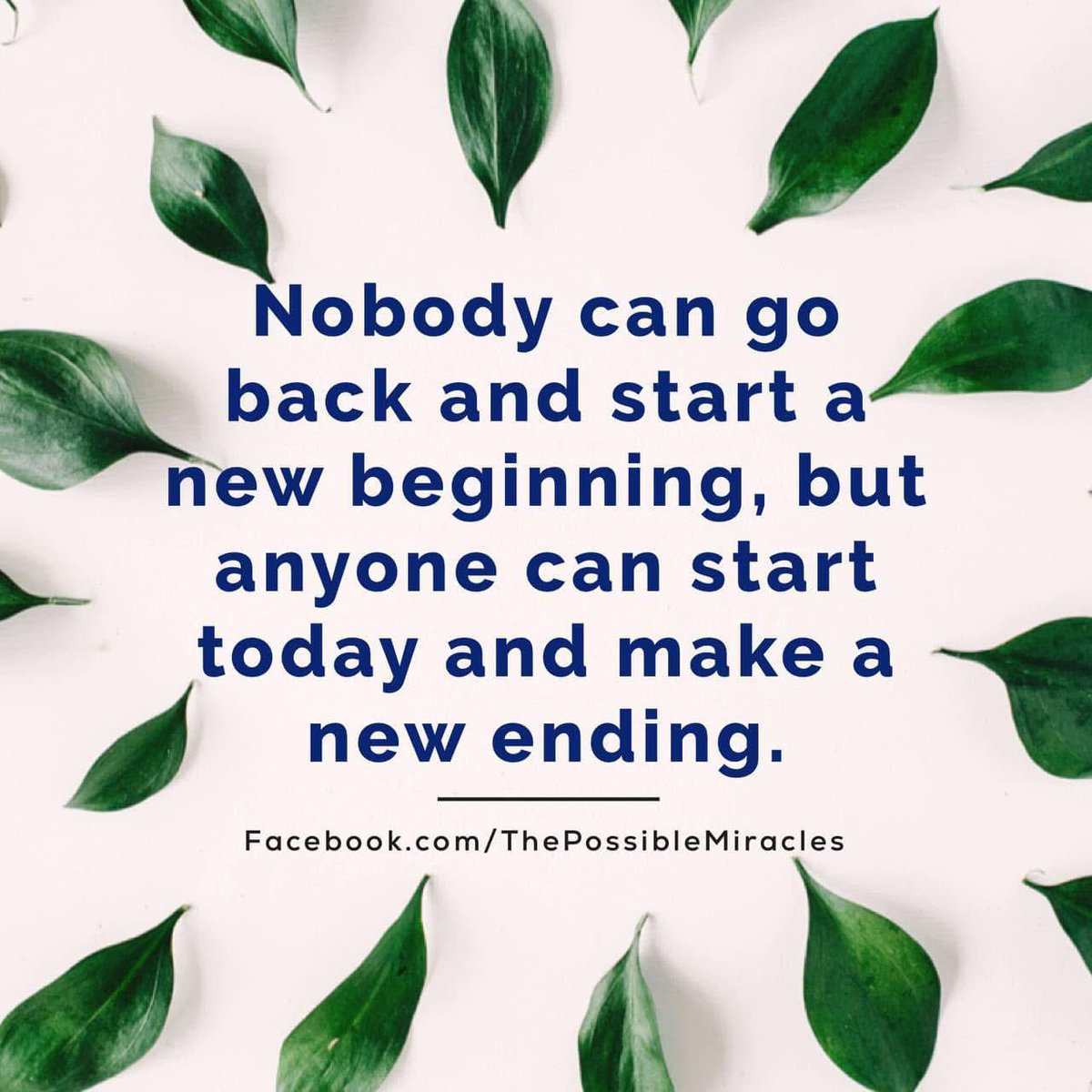 wisdomofthezen's tweet photo. https://t.co/PdV7oT78Im https://t.co/Wo1fXNMuwe