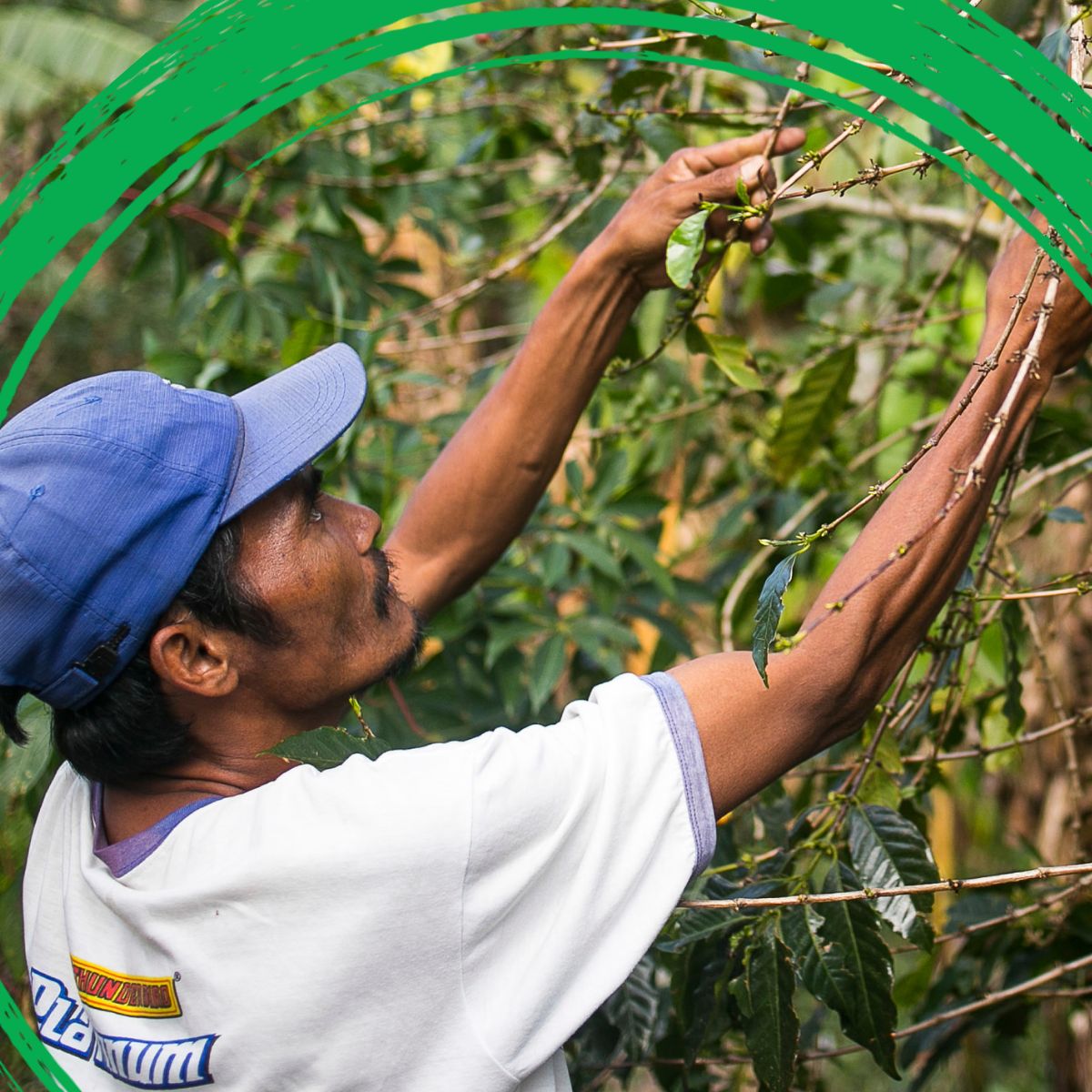 The future of food systems doesn’t have to come at the cost of our environment. By incorporating nature-based solutions into agriculture, we can achieve “triple wins”: reducing emissions, increasing crop yields, and boosting farmers' profits.

Blog: wrld.bg/6x0x50V95C0