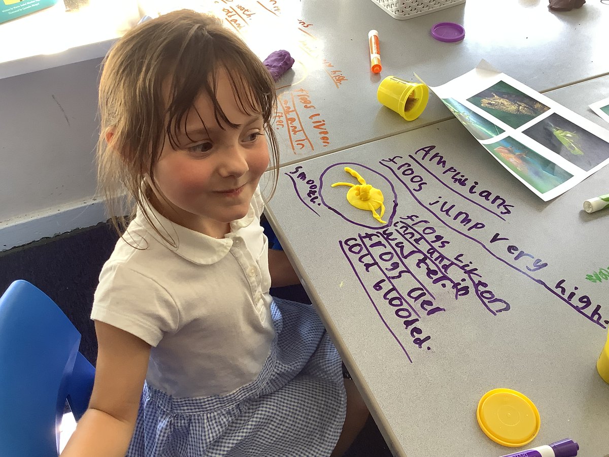 Year One have been exploring animal groups this half term and have been learning all about amphibians! 🐸 After discovering their fascinating features, we created our own models and labelled them with the animal’s name and key characteristics. Amazing work, Year One! 🌿