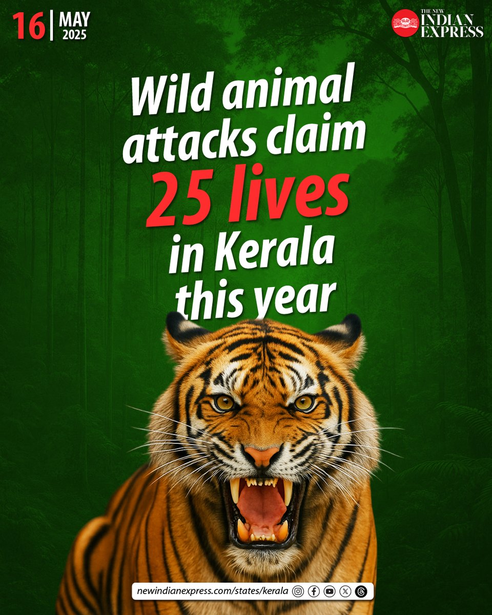 TNIE Kerala (@xpresskerala) on Twitter photo As many as 25 people have died in wild animal attacks since January 1, 2025, of which 19 were killed by wild elephants and two were devoured by tigers.
🔗rb.gy/zpjqdu
✍️<a href="/Manojexpress/">Manoj Viswanathan</a> As many as 25 people have died in wild animal attacks since January 1, 2025, of which 19 were killed by wild elephants and two were devoured by tigers.
🔗rb.gy/zpjqdu
✍️<a href="/Manojexpress/">Manoj Viswanathan</a>