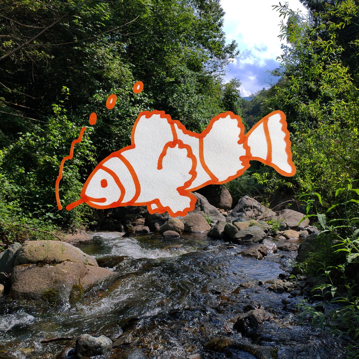 fruttaeverdura2's tweet photo. fish n.3 https://t.co/o8YpMPDwj2