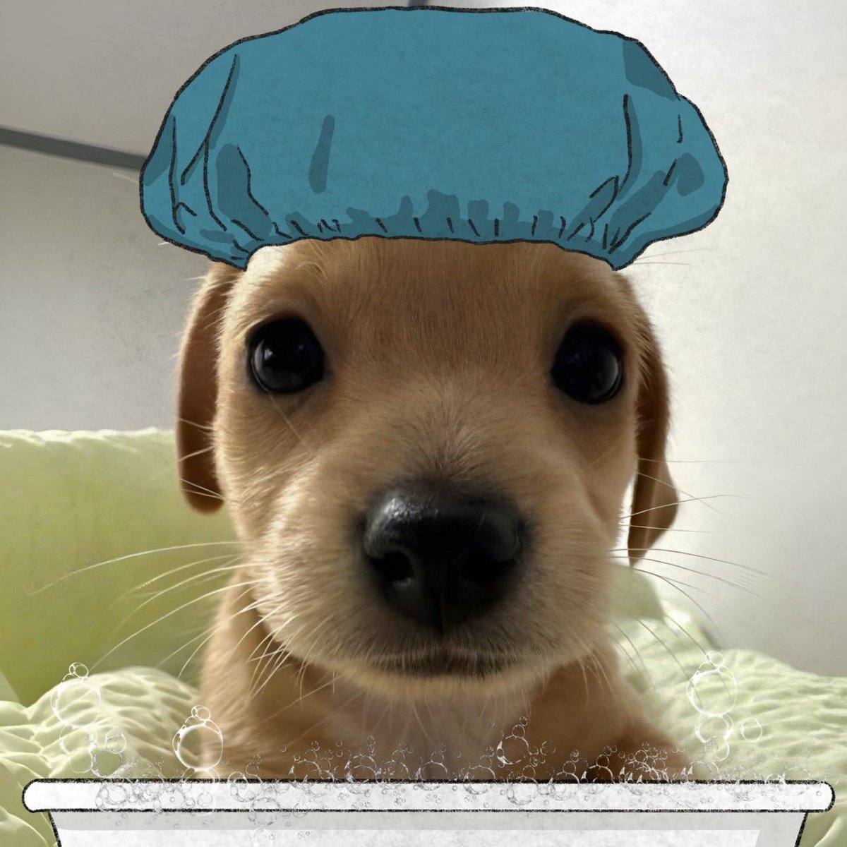 billycoin4ever's tweet photo. i love a refreshing bath in the morning https://t.co/KFMugFaUdr