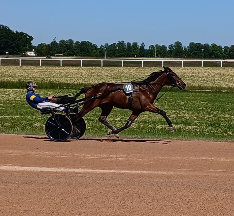 Province Courses / 24H au trot (@provincecourses) on Twitter photo 🚨Alerte qualifs - LOT 2
Nectar d'Avigniere (Ouragan de Celland)
⏱️1'17''3
Entraîné par Alexis PRAT
<a href="/LeTrot/">Trotteur Français</a> <a href="/MuseeduTrot/">Domaine de Grosbois</a> 🚨Alerte qualifs - LOT 2
Nectar d'Avigniere (Ouragan de Celland)
⏱️1'17''3
Entraîné par Alexis PRAT
<a href="/LeTrot/">Trotteur Français</a> <a href="/MuseeduTrot/">Domaine de Grosbois</a>