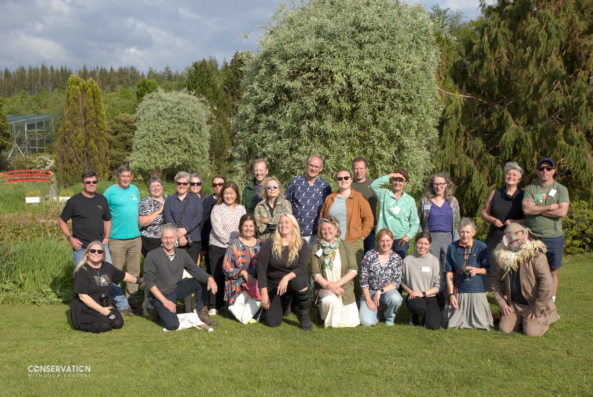 Consano Earth tweet media