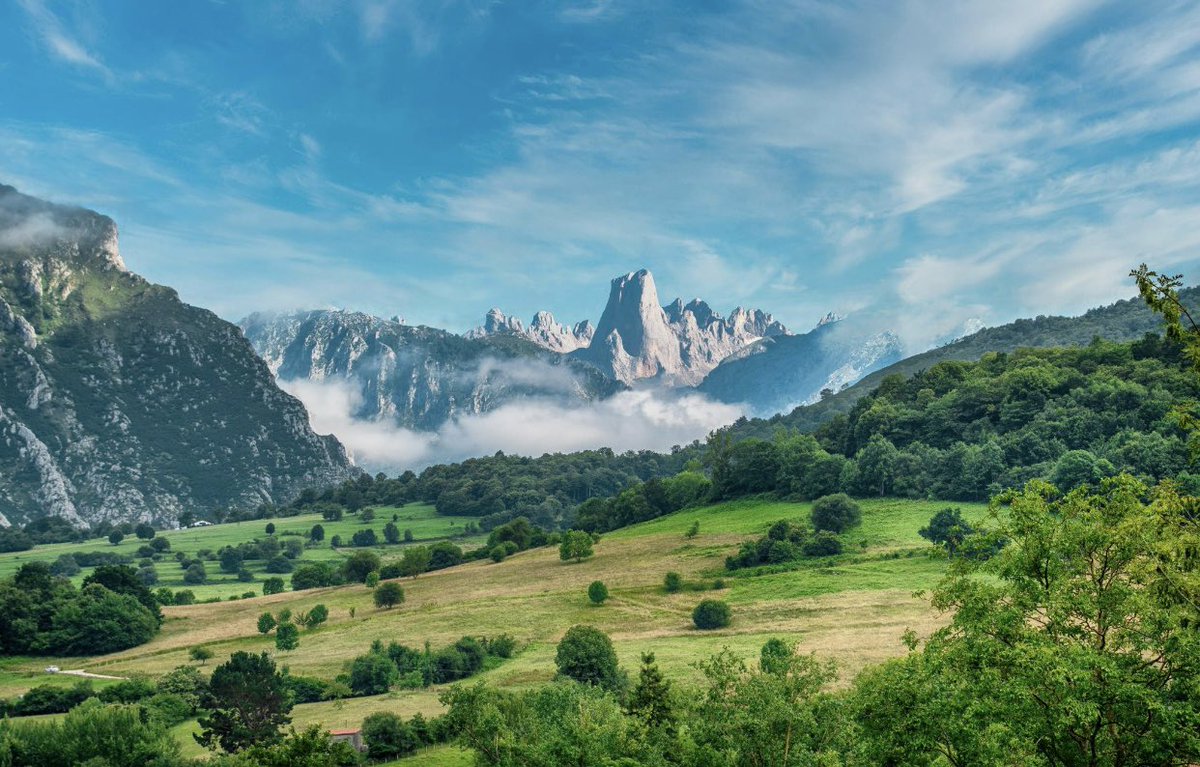 Affinità tweet media