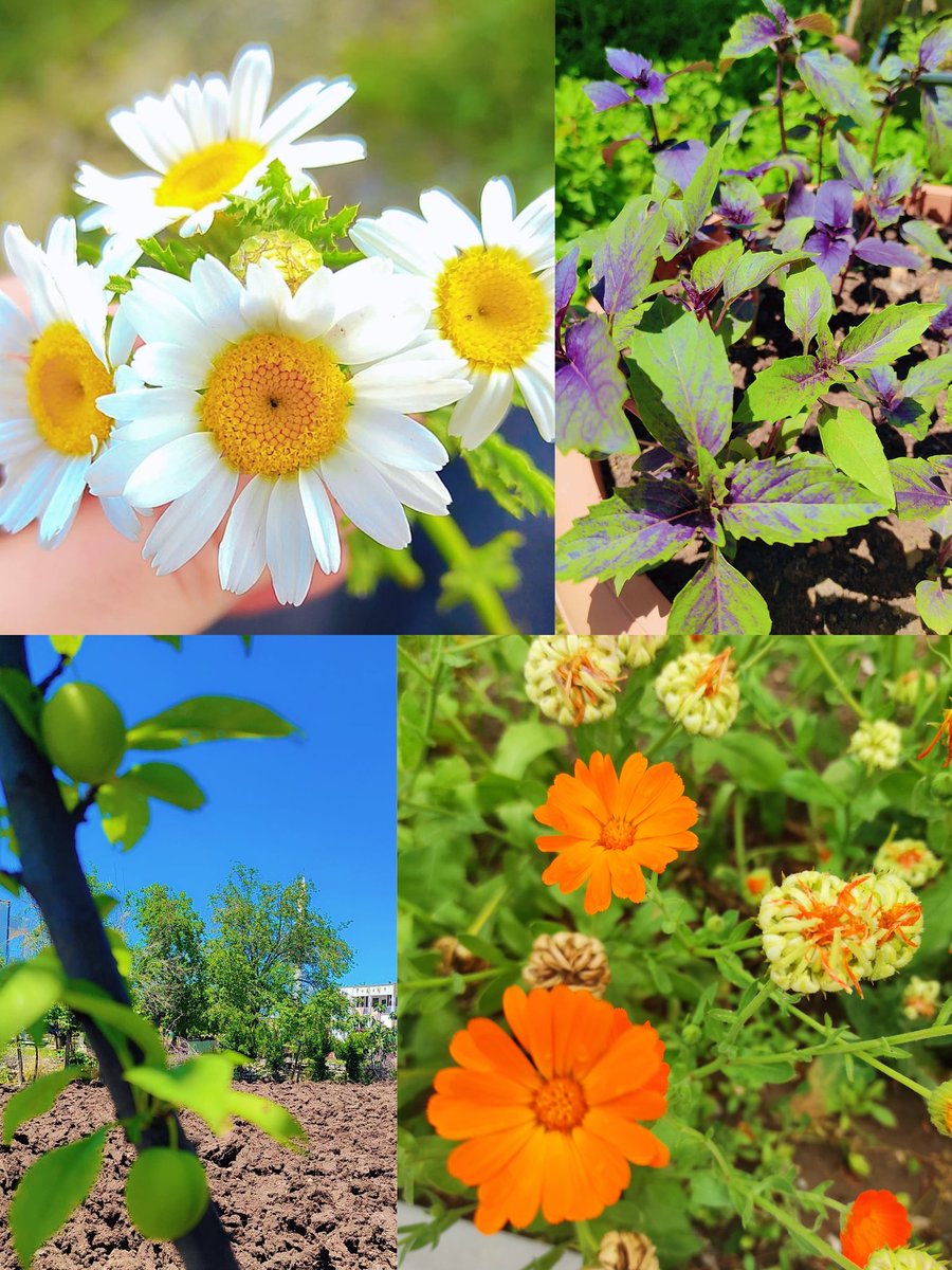 اللَّهُمَ يَا مُقَلِّبَ الْقُلُوبِ ثَبِّتْ قَلْبِي عَلَى دِينِك...
Ey kalpleri halden hale çeviren Allah'ım,
Kalbimizi dinin üzerinde sabit kıl.
جمعة مباركة...