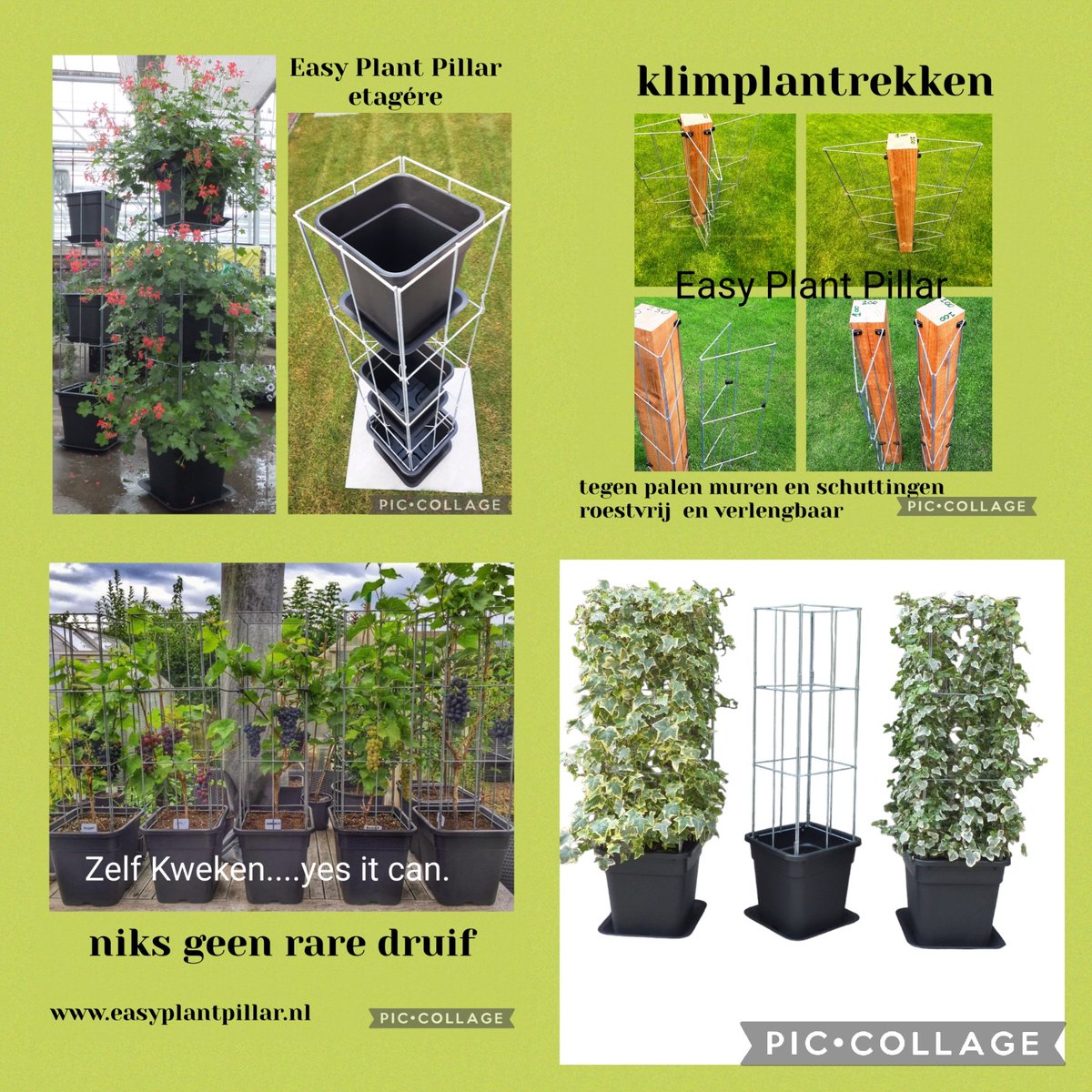 KlimplantenAmsterdam tweet media