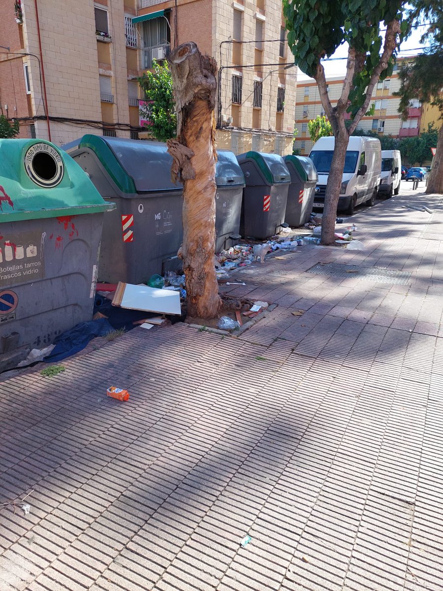GrupoPSOEMurcia's tweet photo. El barrio de La Paz sigue en un estado de abandono denigrante y el PP mientras sigue subiendo los impuestos locales. 
🤬 La Paz no merece un plan de limpieza de choque sino un servicio continuo.
Los vecinos han comenzado a recoger firmas para que así sea. https://t.co/pcLNv2BOer