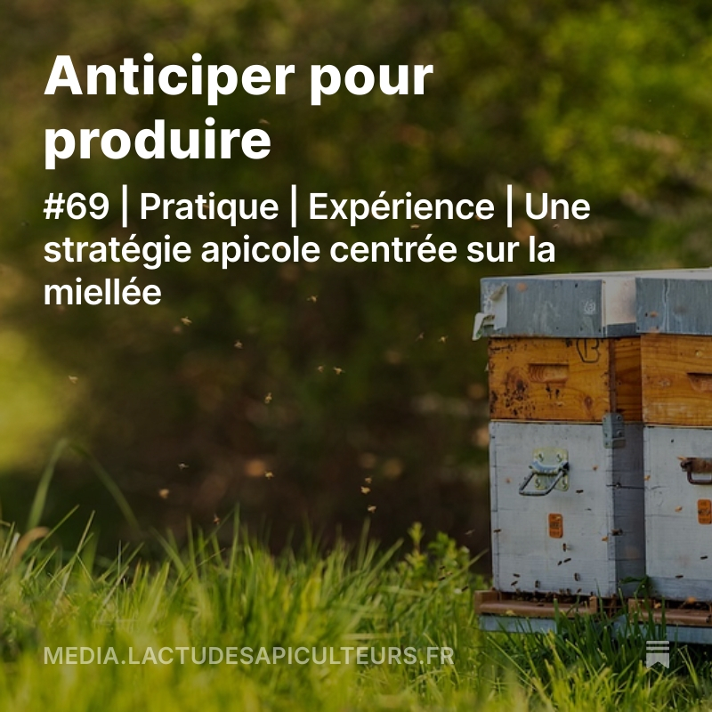 Ro1968R's tweet image. Face à des conditions climatiques de plus en plus imprévisibles et des ressources florales fragmentées, les apiculteurs ne peuvent plus laisser la productivité des ruches au hasard... media.lactudesapiculteurs.fr/p/anticiper-po…