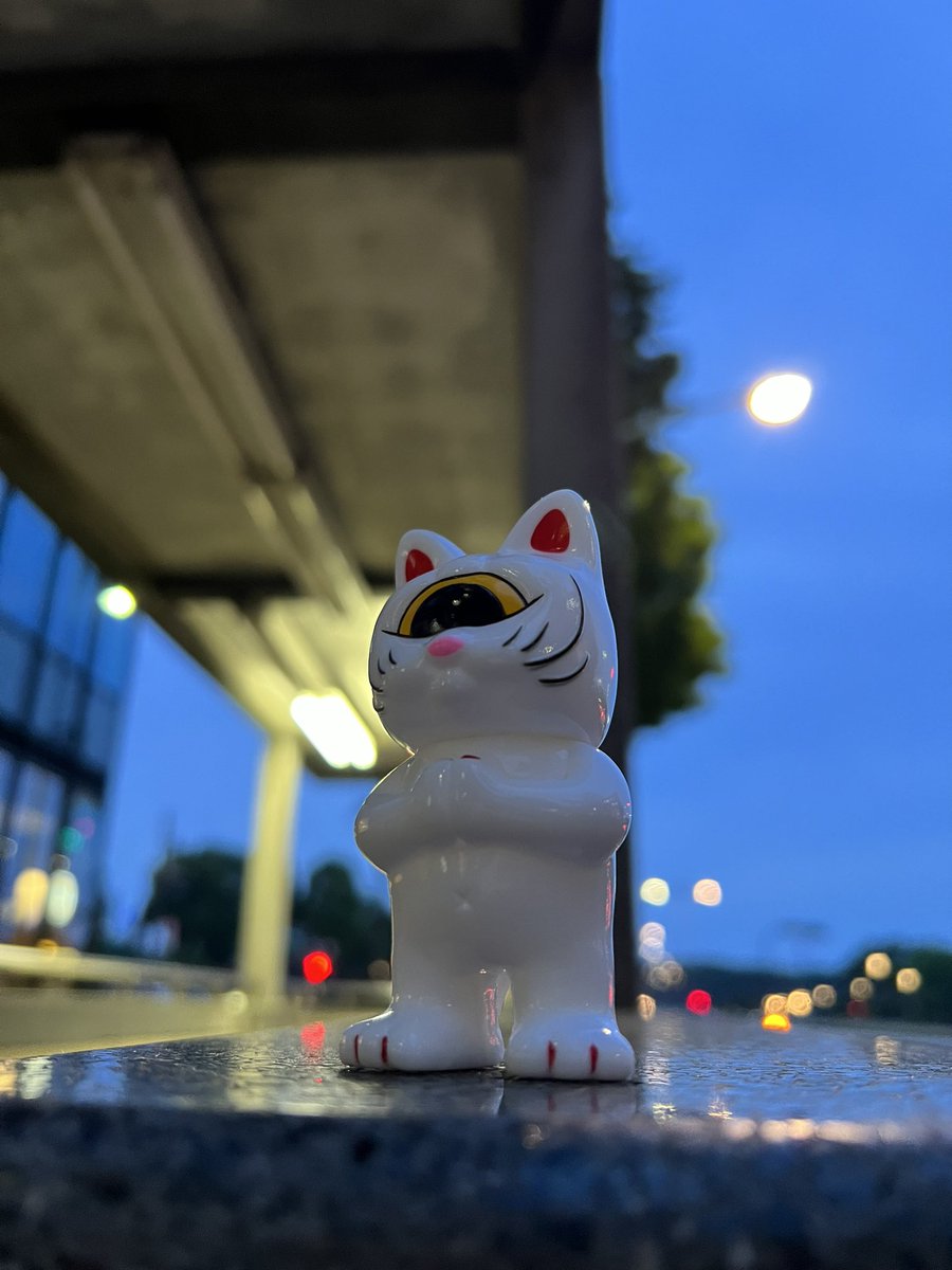 kindfk1's tweet image. FRIDAY NIGHT🐈

#真頭玩具
#リアルヘッド 
#catstream
#猫ストリーム