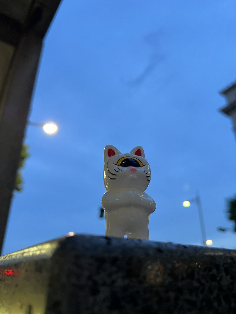 kindfk1's tweet image. FRIDAY NIGHT🐈

#真頭玩具
#リアルヘッド 
#catstream
#猫ストリーム