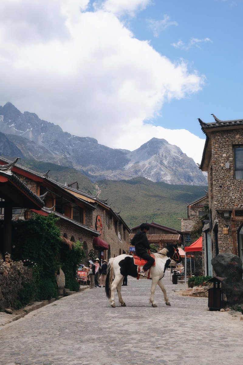 🥟 (@happ1bean) on Twitter photo 