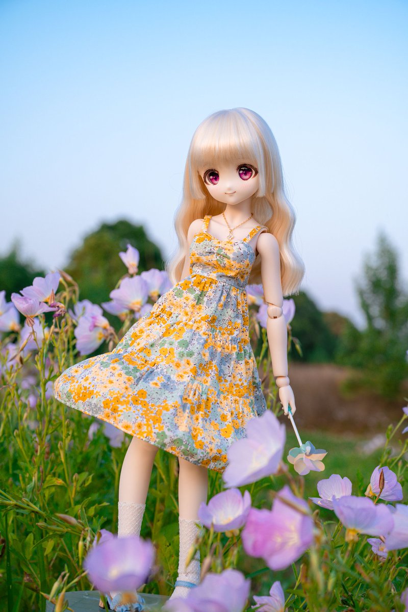 moekooli's tweet photo. #MDDはいいぞ 
#うちのこかわいい https://t.co/liQNoxnlh3