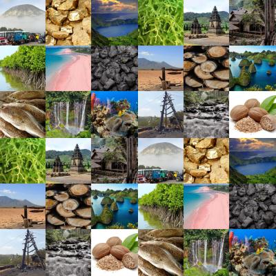 AlhayzaX's tweet photo. “Harta Karun Nusantara: Komoditas Eksotis yang Diburu Dunia”

Dunia rebutan: Vanili dari Papua, mutiara dari NTB, rumput laut dari NTT, hingga kayu Sonokeling dari Jawa.

Tapi siapa sangka, semua itu datang dari tangan-tangan petani di pelosok yang nyaris tak dikenal.
Mari kita telusuri kisahnya 👇