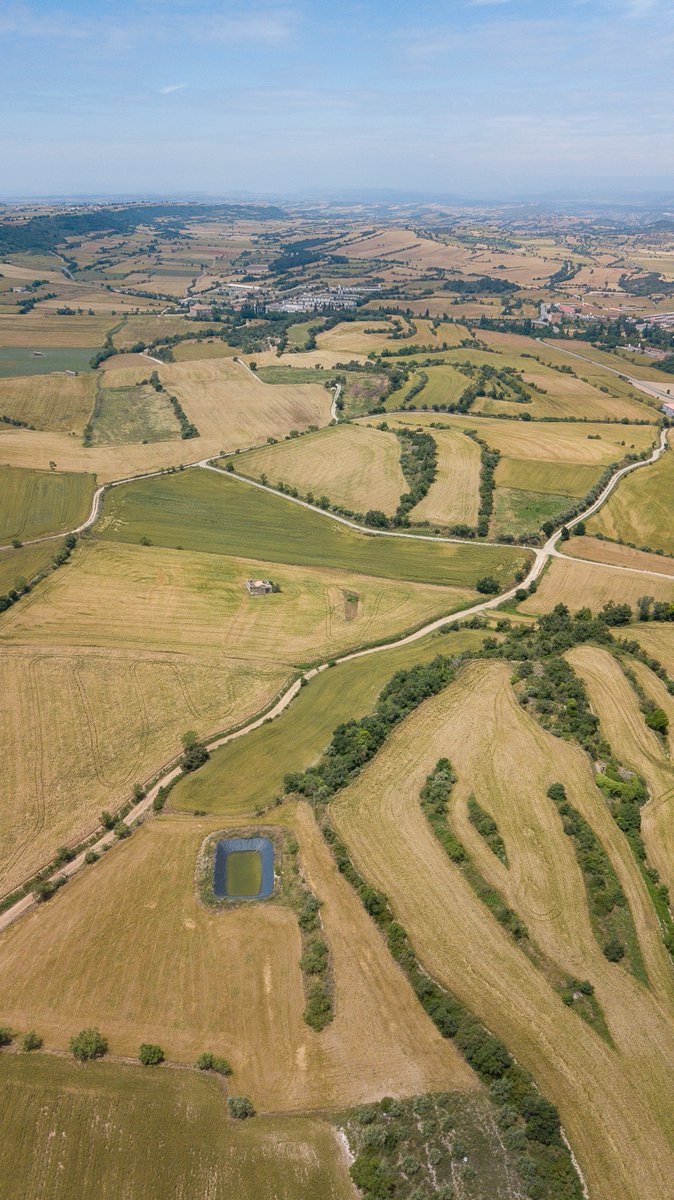 LEADERcatcentral tweet media