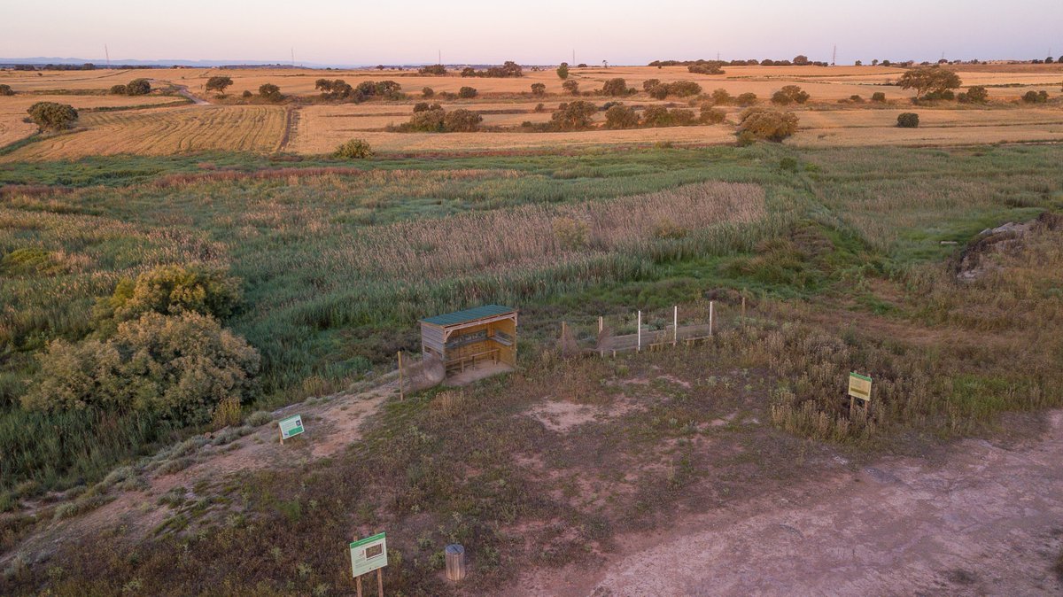 LEADERcatcentral tweet media