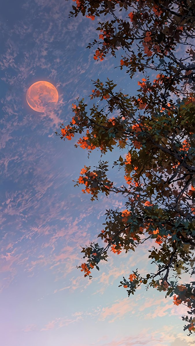 wallpapers_tore's tweet photo. Aesthetic Evening Sky 🌙 https://t.co/vfpGgHzcVi