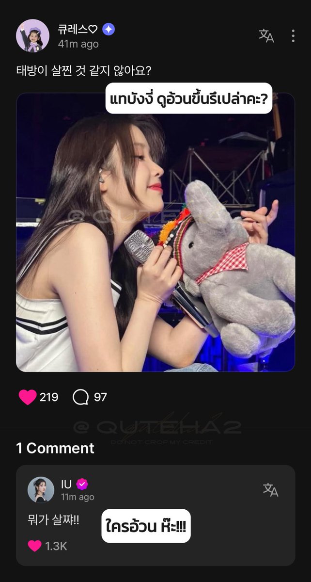 quteha2's tweet image. กรี๊ดดดดด ไอยูตอบเม้นนนนนนน จดโมเม้นไอยูคิวเรส ไอยูบังแอนา ไอยูแทบังงี่ 🐘💜
💜 : แทบังงี่ ดูอ้วนขึ้นรึเปล่าคะ?
🐣ไอยู: ใครอ้วน ห๊ะ!!
ไอยูตอบเป็นประโยคที่แอนาเคยตะโกนใส่ตอนชีบ่นว่าอ้วนขึ้นอะ โอ๊ย บอกทีว่าพี่ไม่ได้ใส่อารมณ์ 556555555555555555555555555