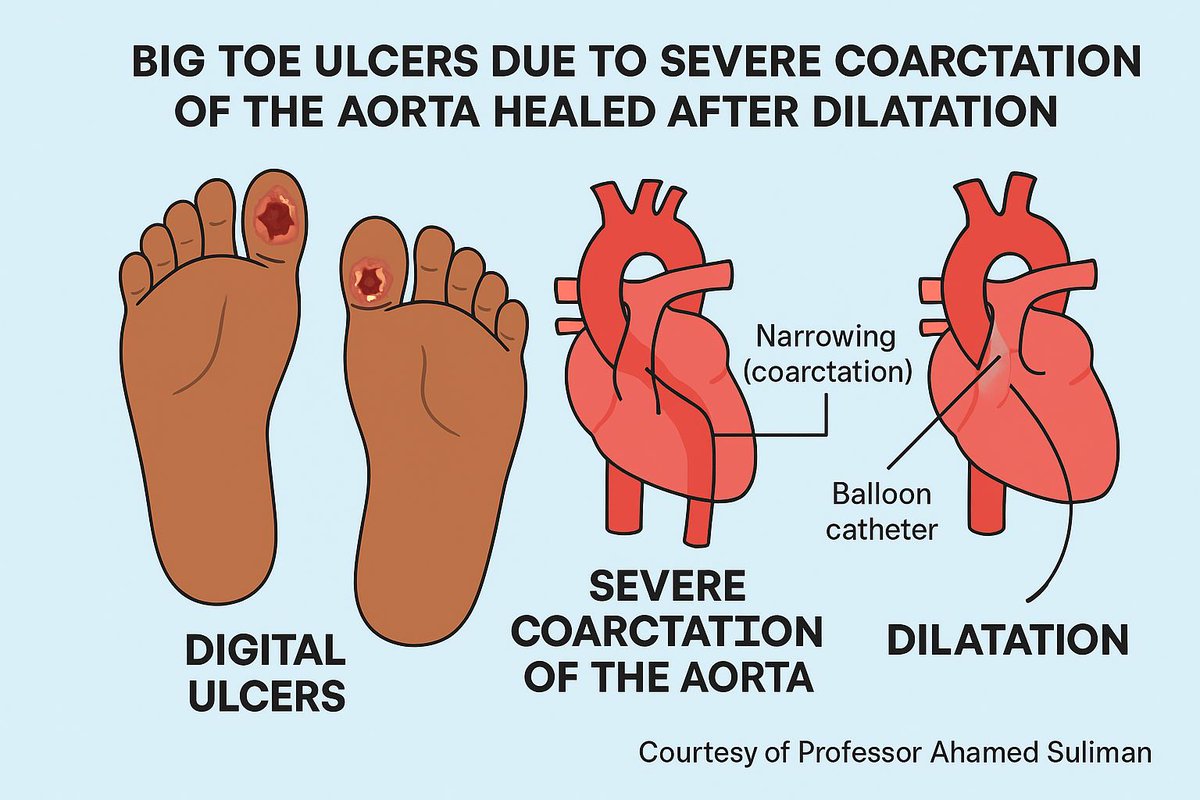 <a href="/Sudanheartgroup/">Ahmed Suliman, MBBS, FACP, FESC, FACC</a>