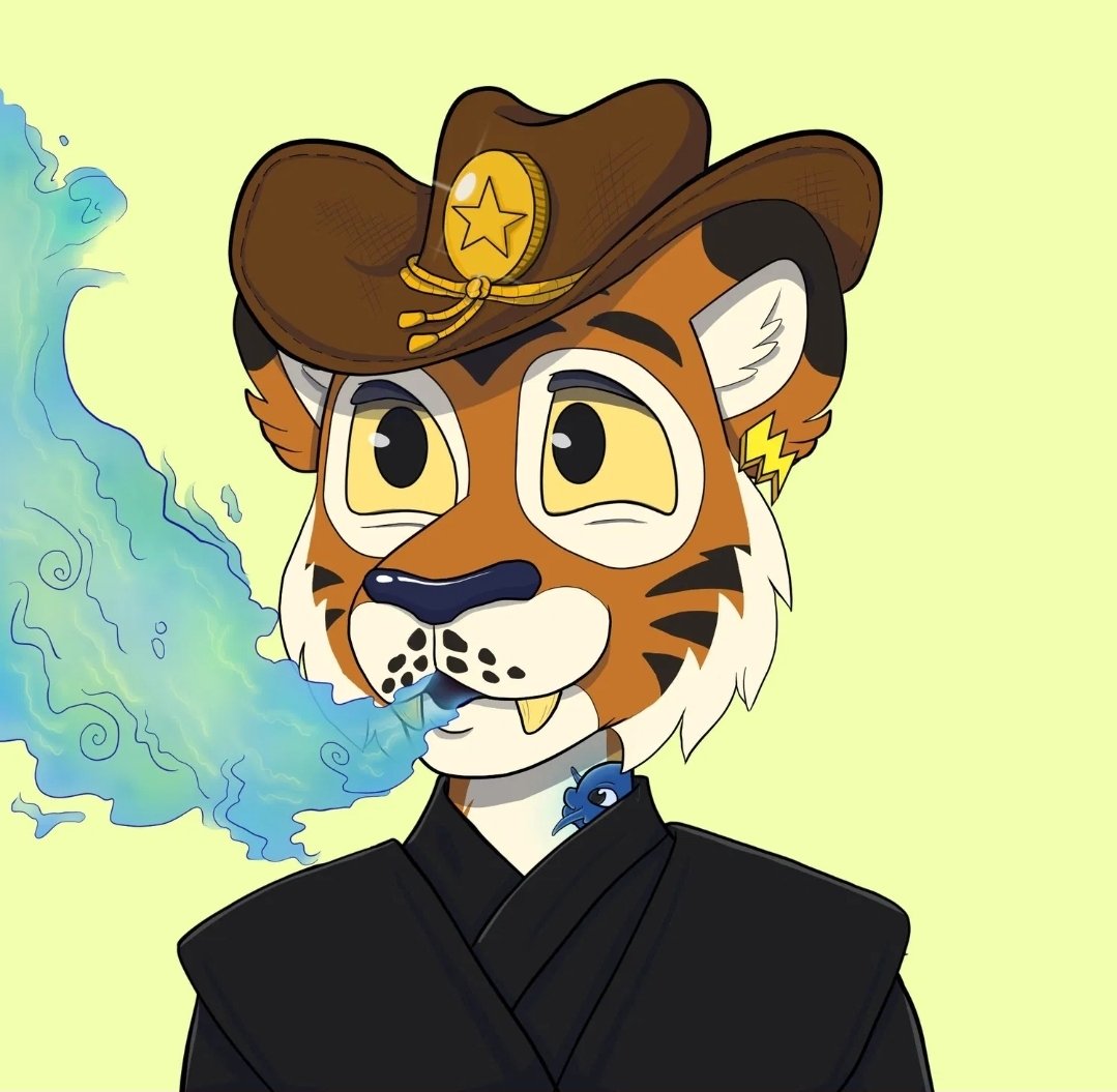 WildTigers tweet media